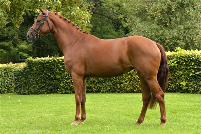 La Rouge e. Lambrusco ask
solgt til John Kristensen