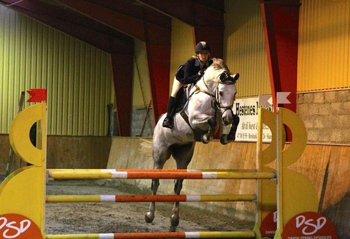 Cordior efter Cornet Obolensky / Dinar L 
Solgt til Sandra Enemark