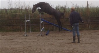 Nanna Z (Nabab de reve / Coolman) Signe Pedersen